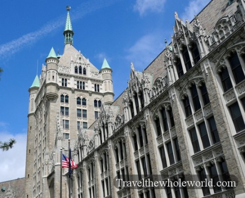 New York Albany University