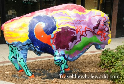North Dakota Fargo Buffalo Painted
