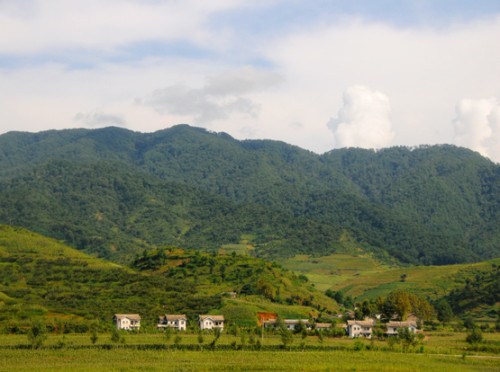 North Korea Country