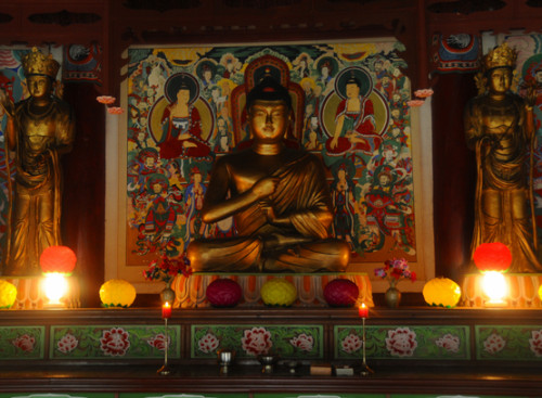 North Korea Myoyang Temple Inside