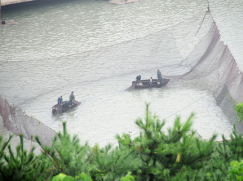 North Korea Nampo Sea Nets