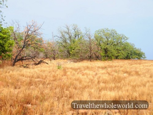 Oklahoma Wichita Mountains Brush