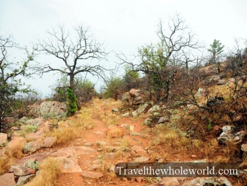 Oklahoma Wichita Mountains Trail