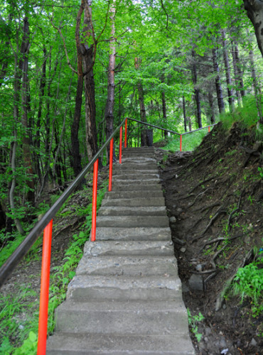 Romania Poenari Castle Stairs