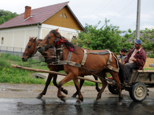 Romania Village Carriage