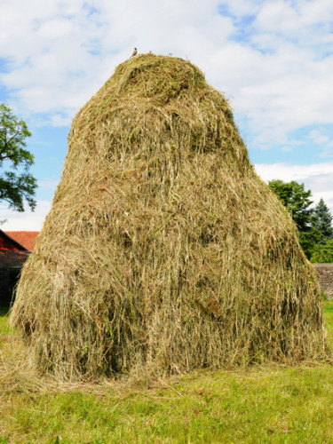 Romania Village Hay