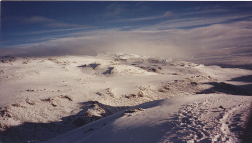 Tanzania Kilimanjaro Snows