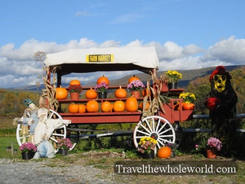 Vermont Pumpkins
