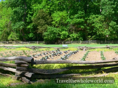 George Washington's Gardens