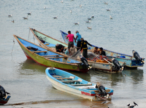 Yemen Aden Boats