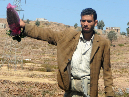 Yemen Khat