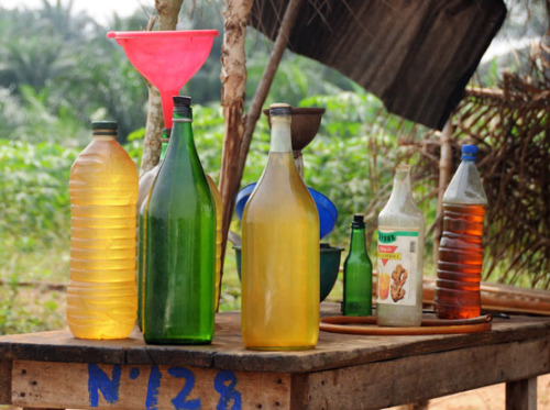 Benin Porto Novo Gas Station