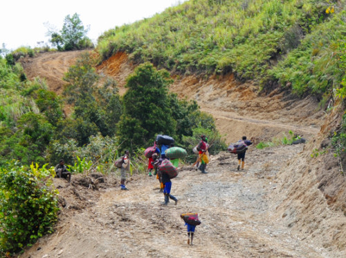 Carstensz Pyramid Road