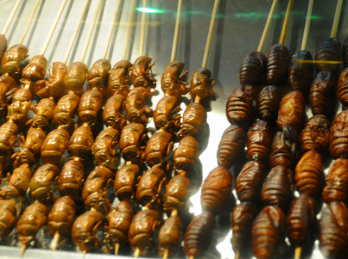 China Beijing Food Market Bugs