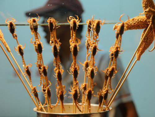 China Beijing Food Market Scorpions