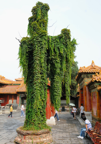China Beijing Forbidden City Tree