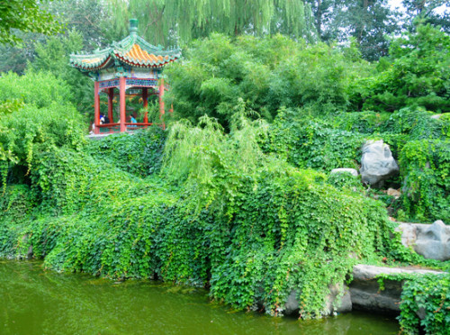 Park in Beijing
