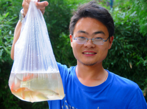 China Beijing Park Fish