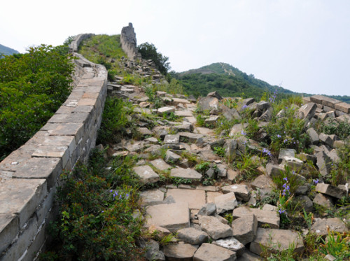 China Great Wall Ruins