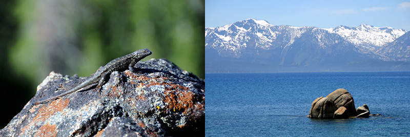 Lake Tahoe