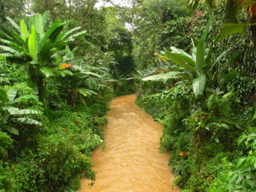 Malaysia River