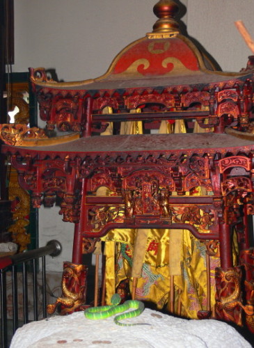 Malaysia Snake Temple Worship