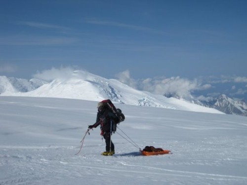 Me Denali Sled Pulling