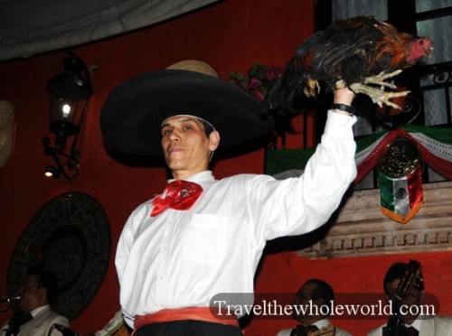 Mexico-City-Garibaldi-Rooster-Winner