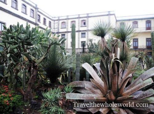 Mexico City National Palace Garden