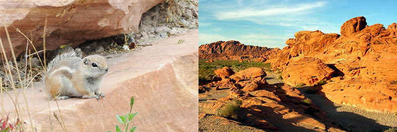 Nevada-Deserts