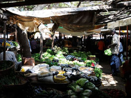 Nigeria Kano Farmers Market