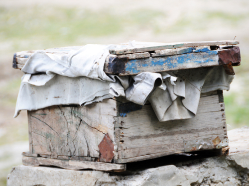 Pakistan Bee Box