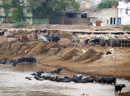 Pakistan Lahore River2