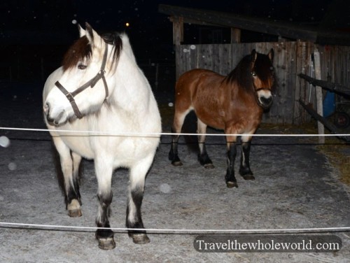Sweden Ostersund Jamtli Museum Horses