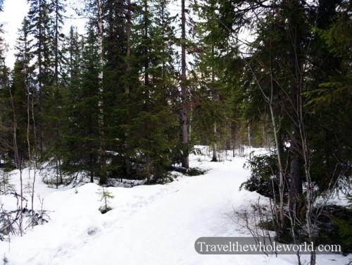 Sweden Tannforsen Hiking Trail