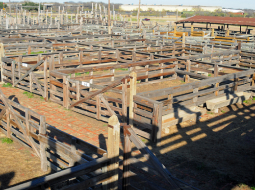 Texas Fort Worth Stockyards Ranch