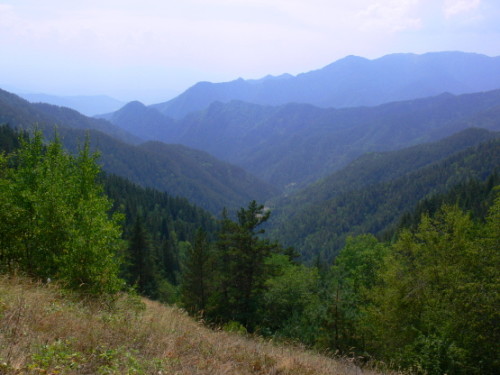 Borjomi