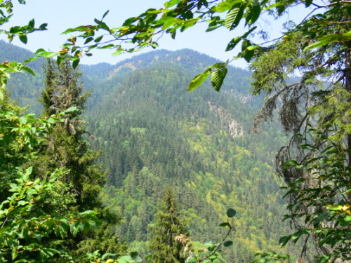 Georgia Borjomi View