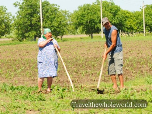 Moldova Farmers
