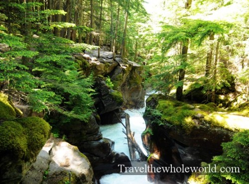 Glacier National Park Avalanche Creek