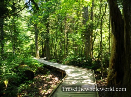Glacier National Park Boardwalk