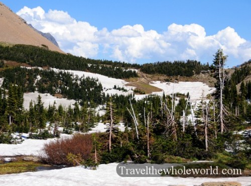 Glacier National Park July-Snow