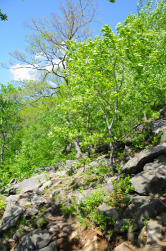 New York Hiking