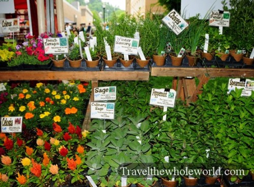 Portland Farmers Market