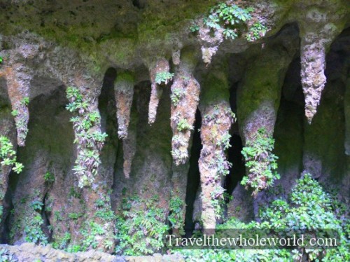 Puerto Rico Stalactites 
