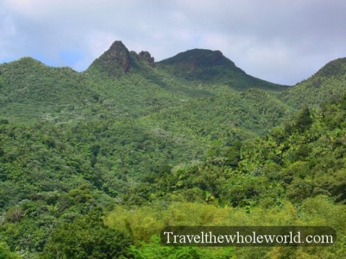 Puerto Rico Yunque Peak