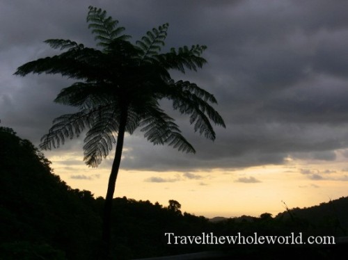 Puerto Rico El Yunque Sunrise