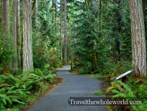 Washington Northwest Trek