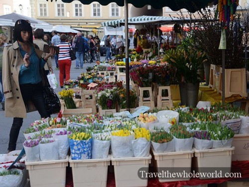 Austria Salzburg Market Flower