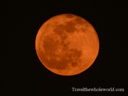 Venice Moon